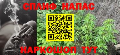 бошки Шелехов