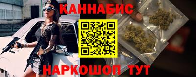бошки Шелехов