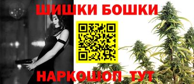 бошки Шелехов
