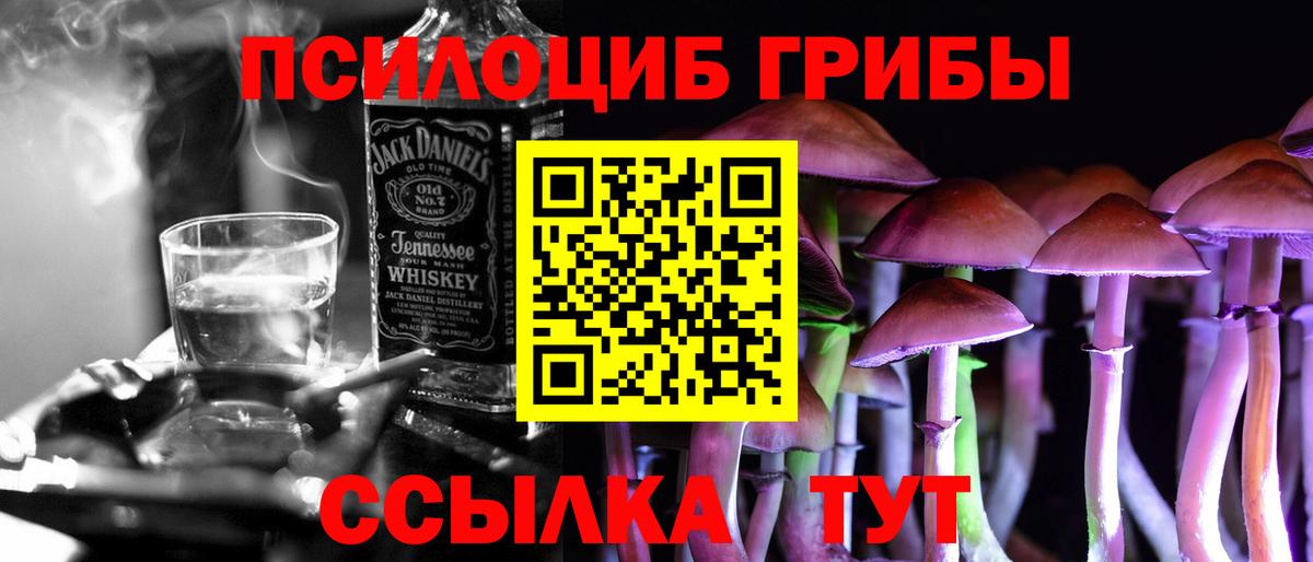 Псилоцибиновые грибы прущие грибы  Вход с VPN  Тавда 